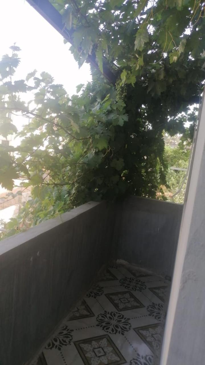 Ferienwohnung الاردن عجلون رأس منيف Ibbin Exterior foto